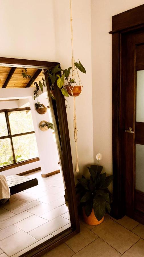 Casa Nativo Villa Jardín Exterior foto